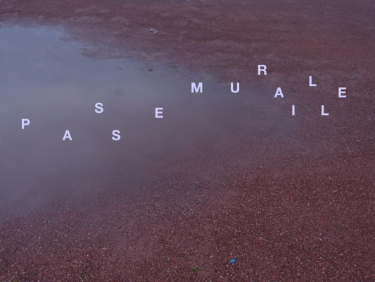 NVX-VISUEL-PASSE-MURAILLE